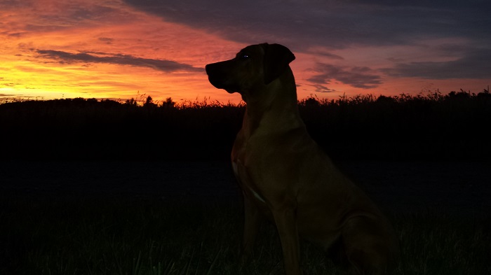 20130728_214227.jpg